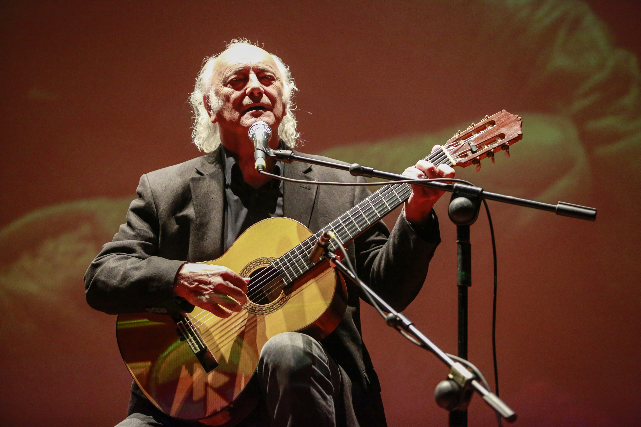 Amancio Prada en una actuación