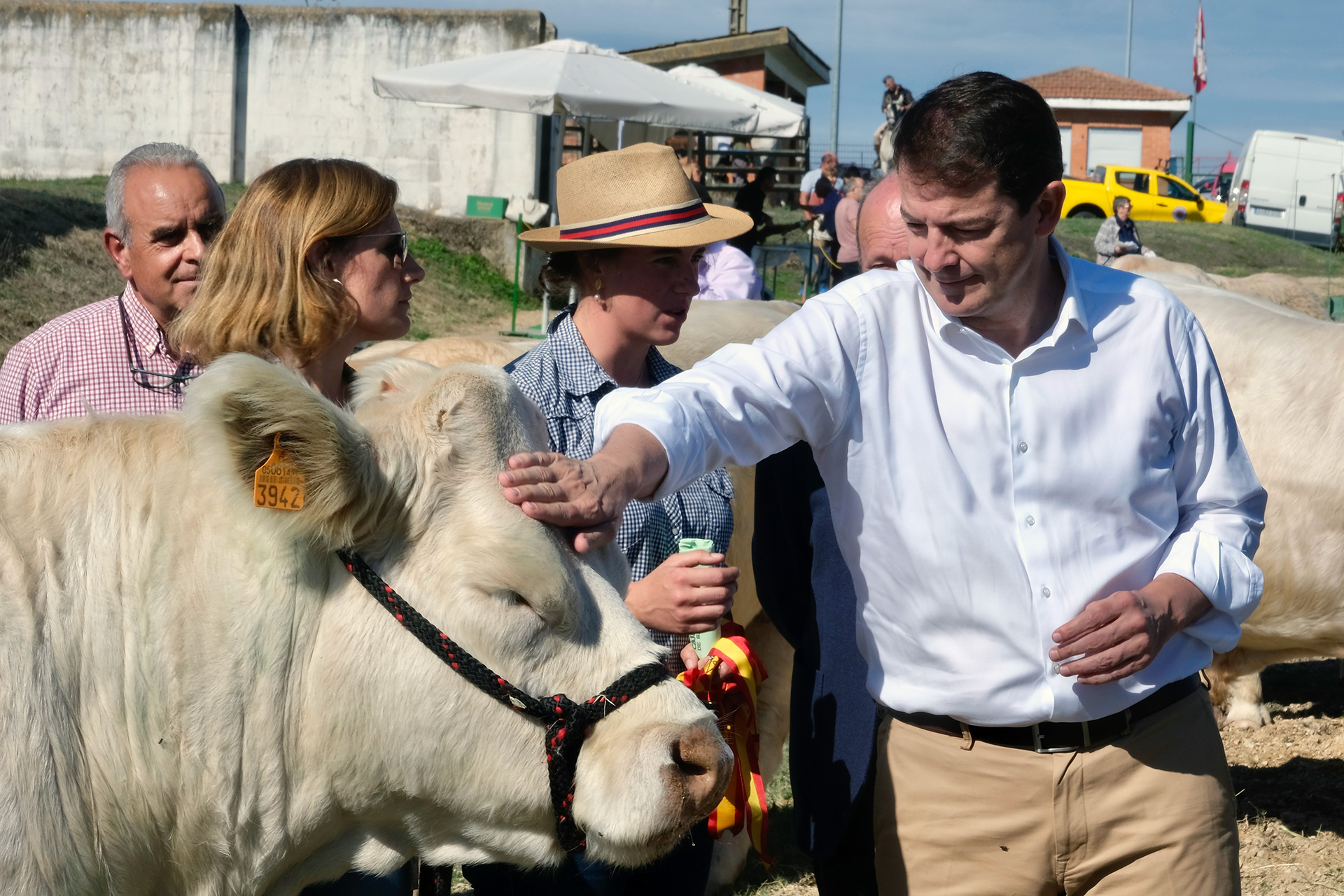 alfonso fernandez manueco
