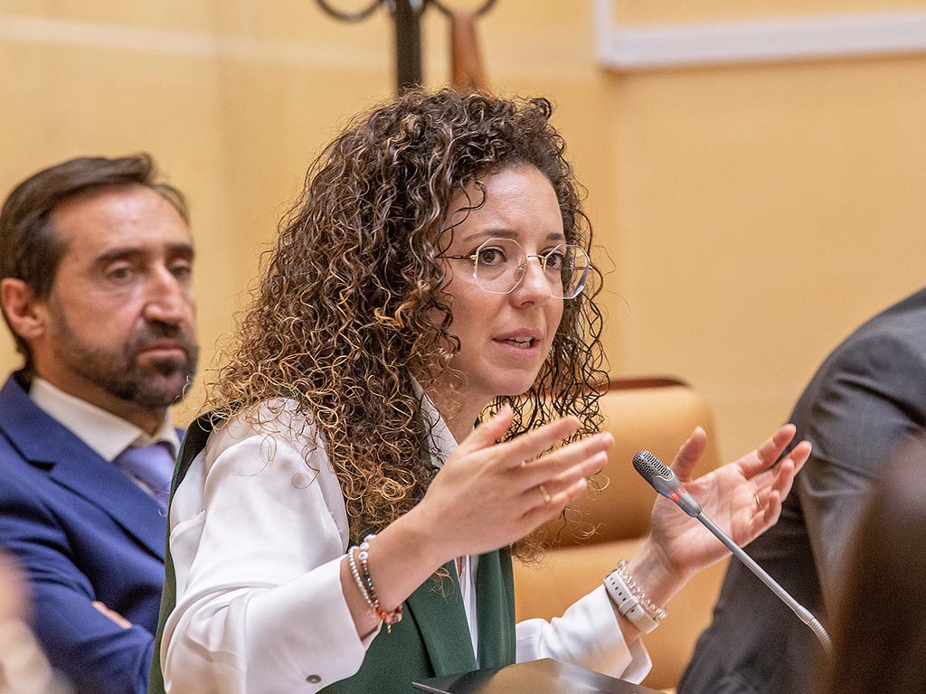 La portavoz de Ciudadanos en el Ayuntamiento de Segovia, Noemí Otero.