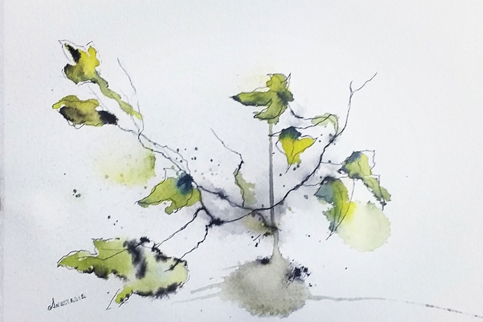 centro senior corpus expo Anastasia Hiedra