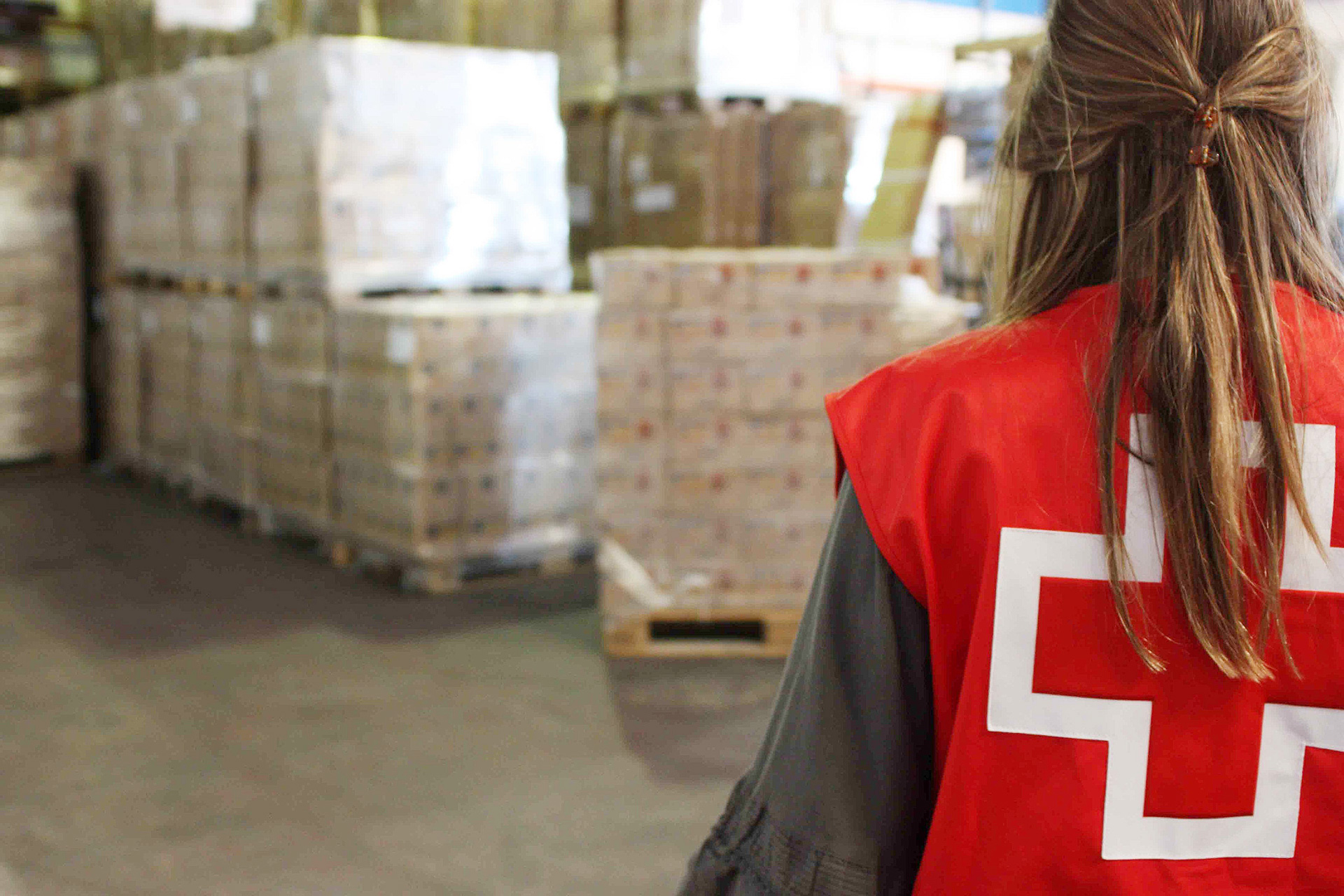 cruz roja segovia ayudas Almacen Alimentos