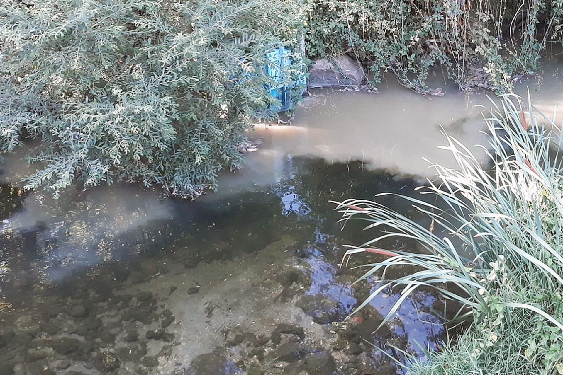 rio eresma Vertido Alameda 1