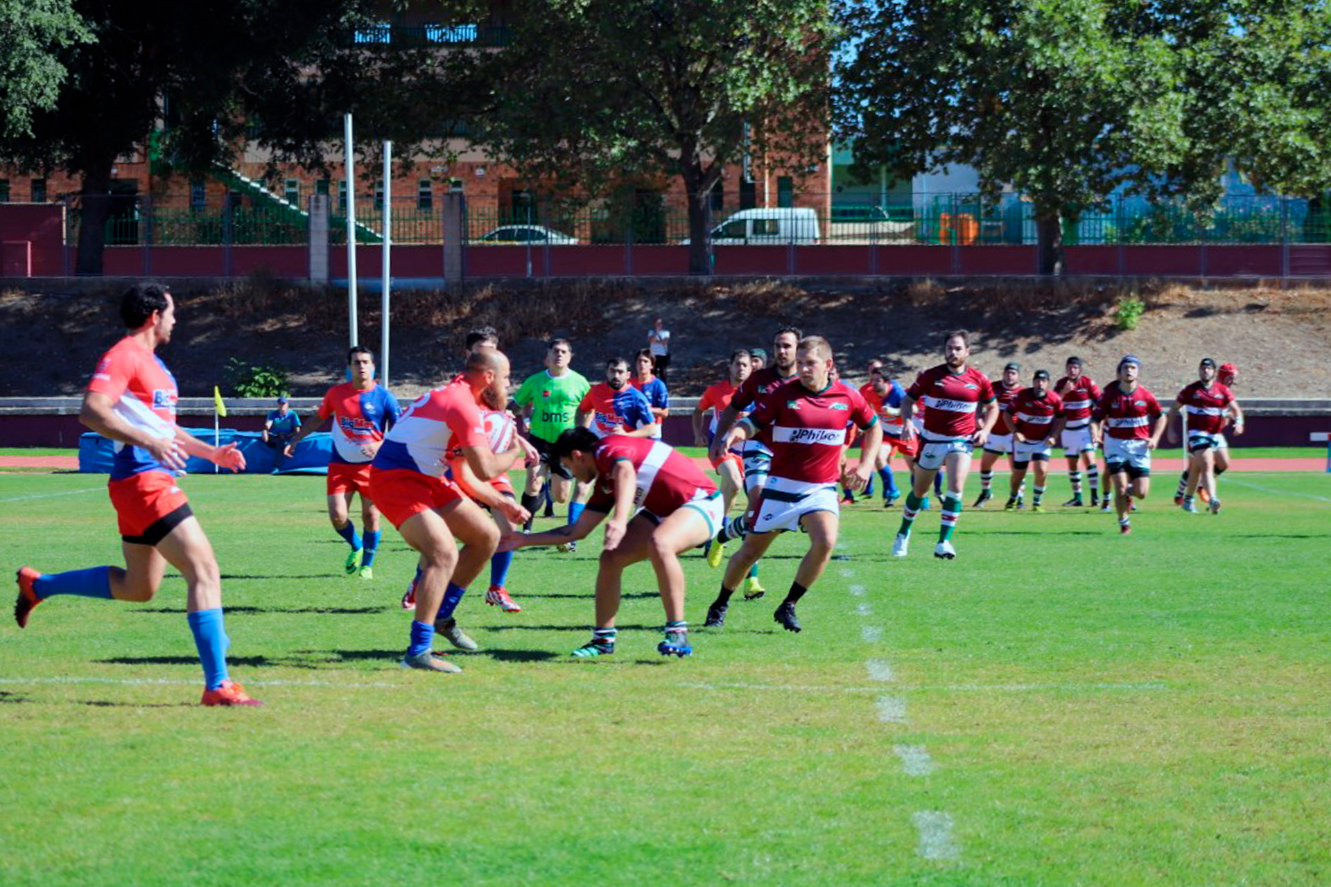 rugby rac lobos