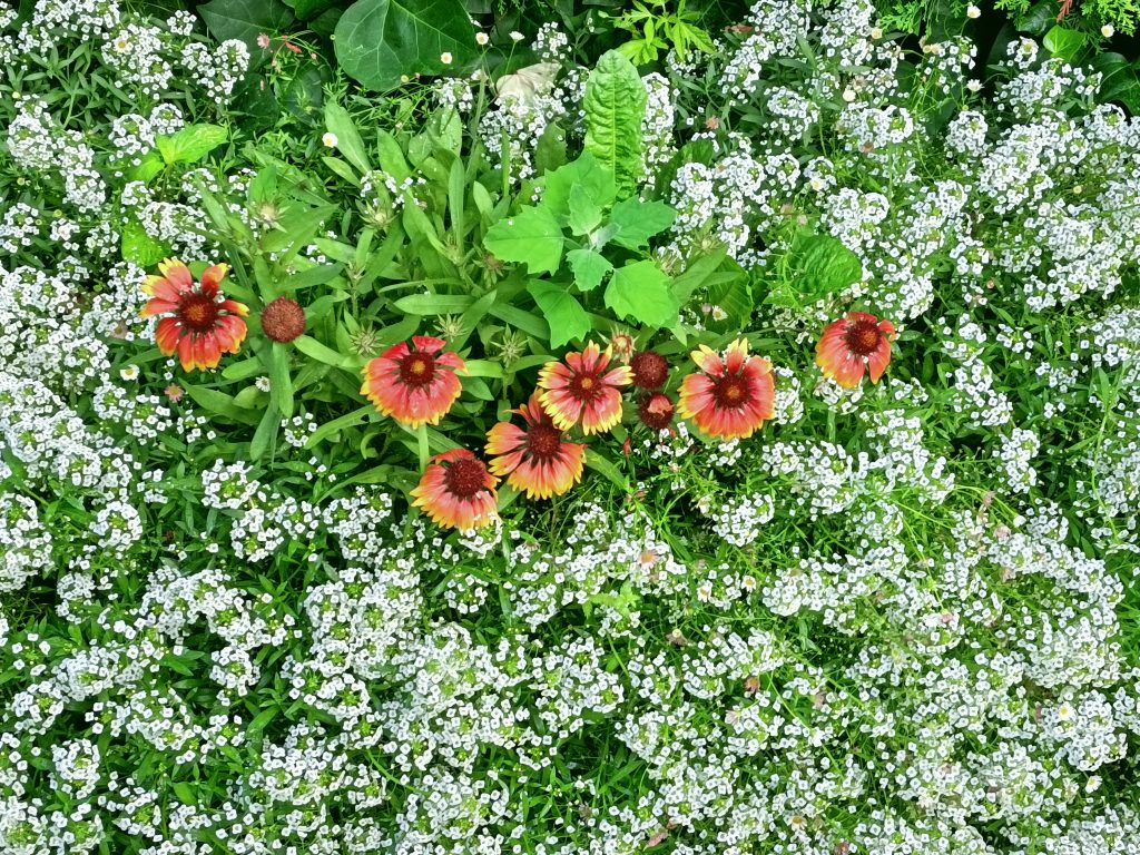 1 Jardin Esteban Vicente Museo Esteban Vicente