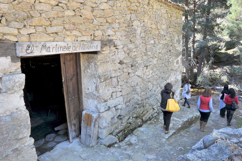 20190227 Navafria Martinete KAM7990