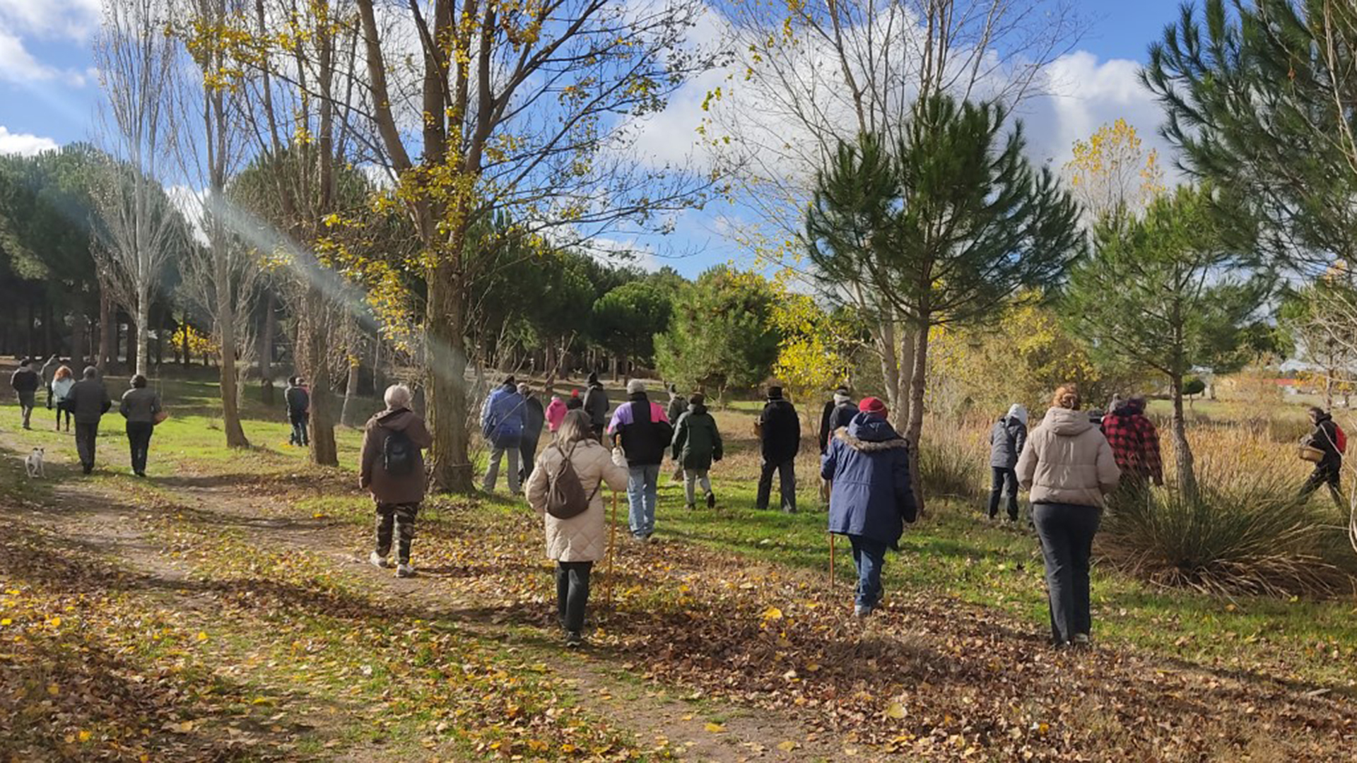 Recogida de setas y hongos.