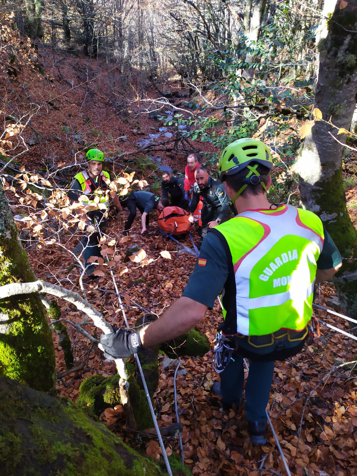 Rescate en el Hayedo de la Pedrosa. FOTO: @GCSegovia062