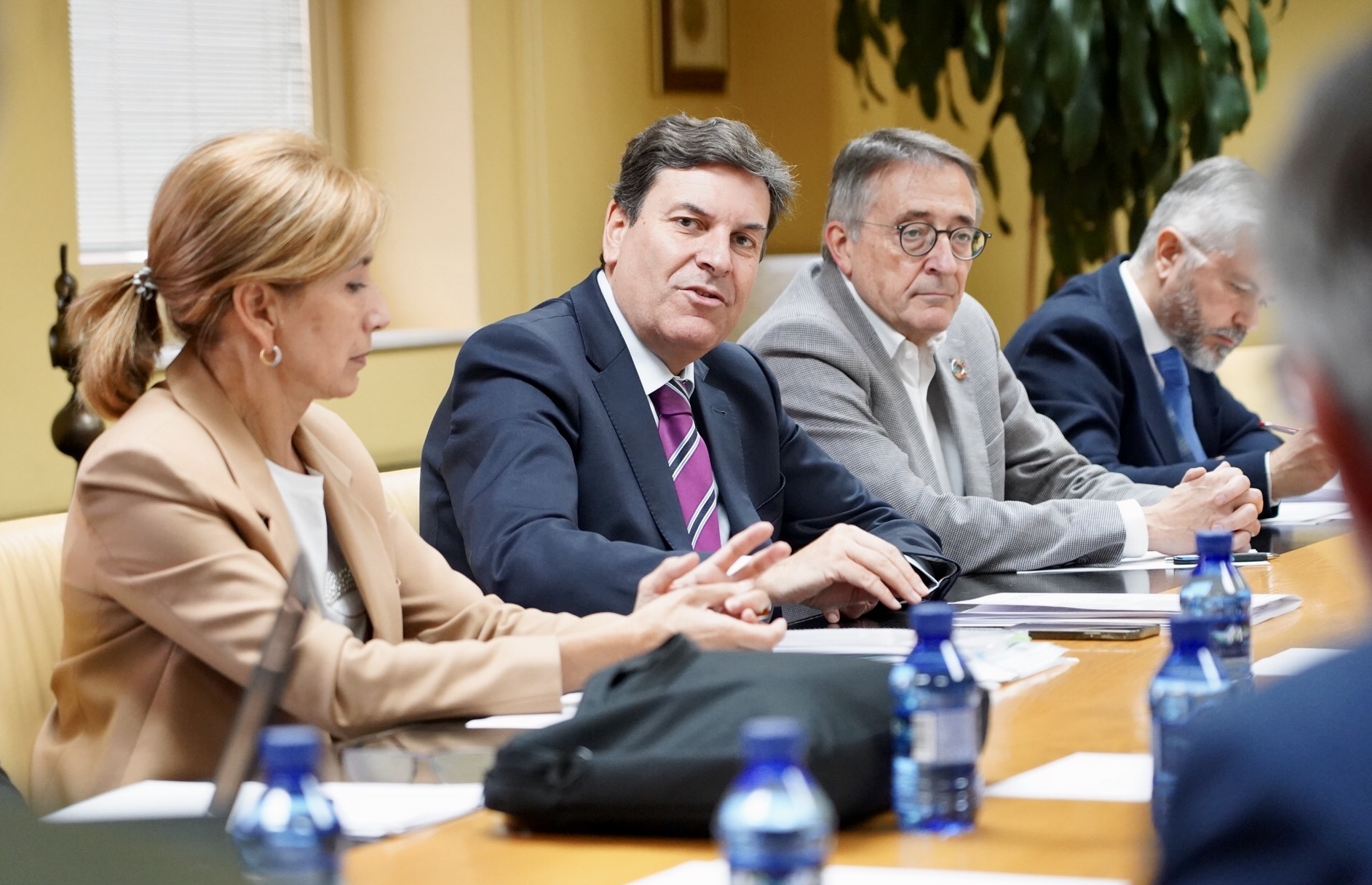 El consejero de Economía y Hacienda y portavoz, Carlos Fernández Carriedo, presidió ayer la Mesa del Hábitat.