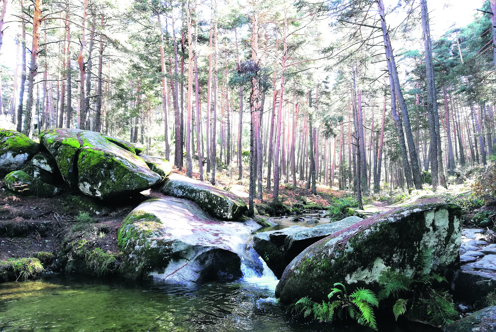 Permitirán al andariego disfrutar de los bellos parajes de la zona.