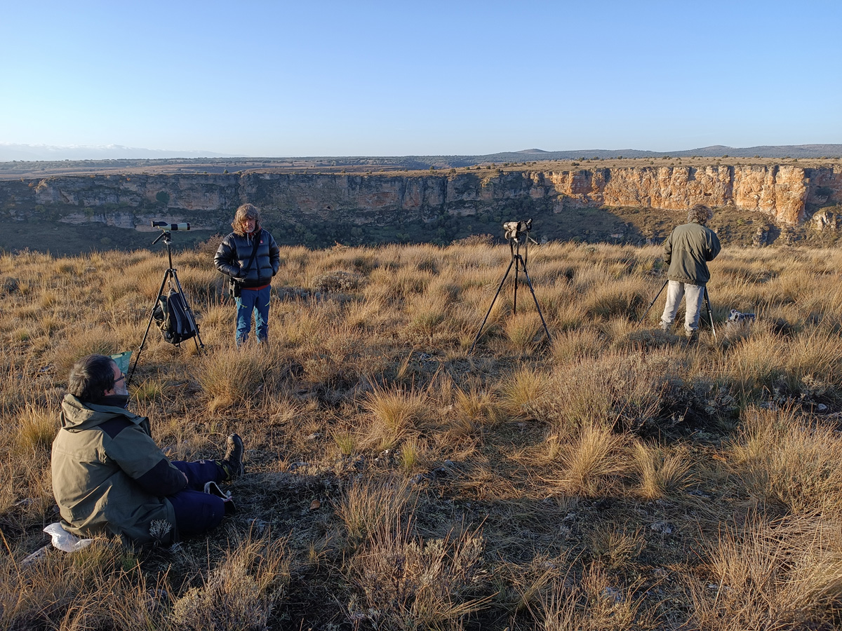Más de 120 naturalistas se reunieron para hacer el XL Censo de Otoño en el refugio de Rapaces Montejo de la Vega.