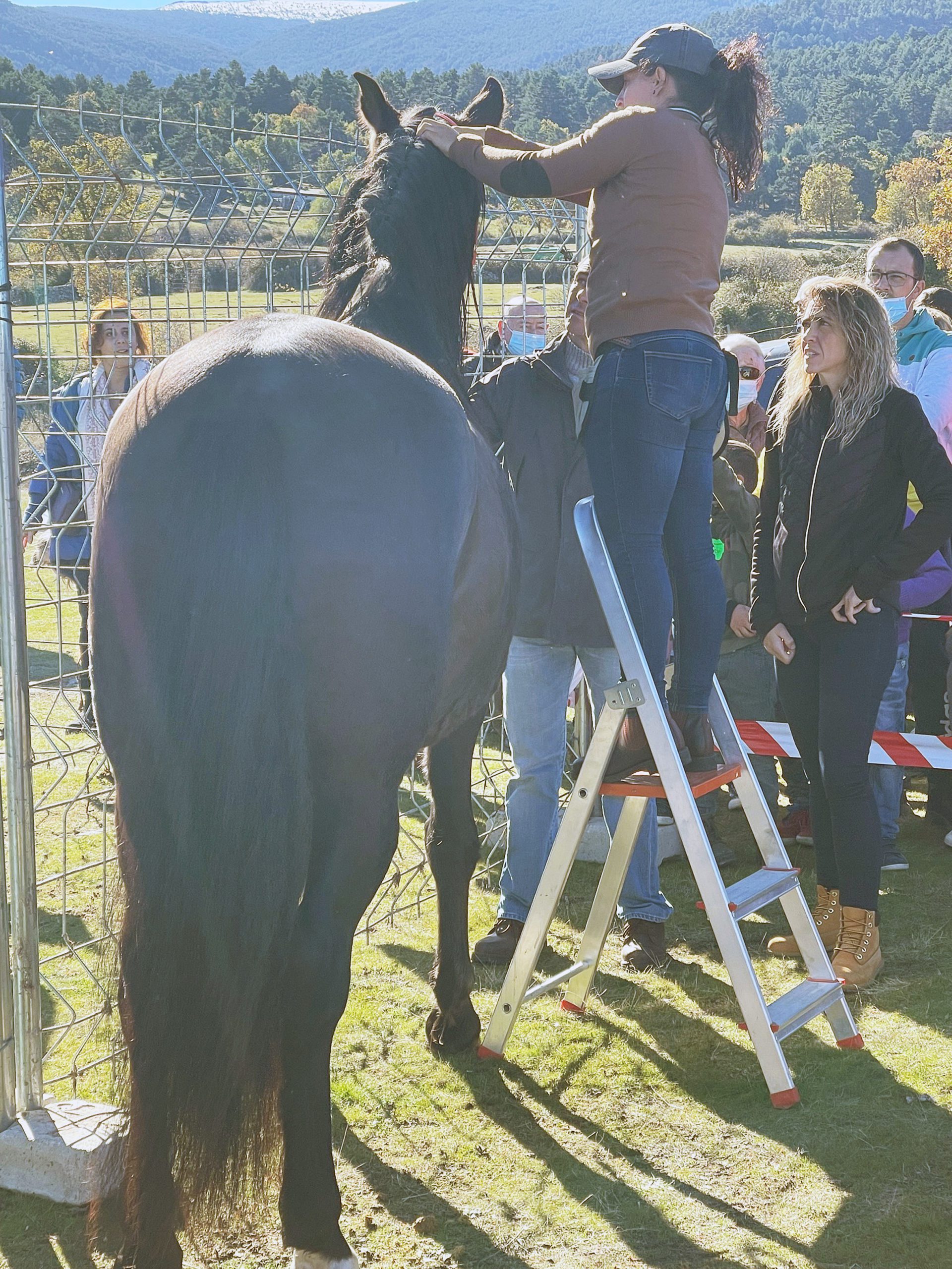 La Feria del Ganado que se celebra este fin de semana en Navafría se ha convertido en un referente comarcal.