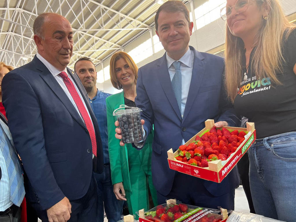 El escenario de cine de la Diputación sorprende en Intur 1 Intur