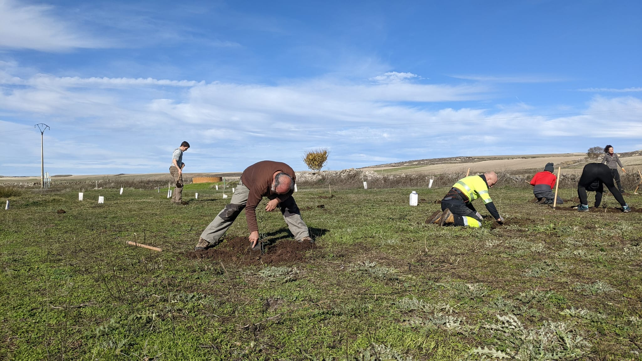 Plantacio VEgafria 1