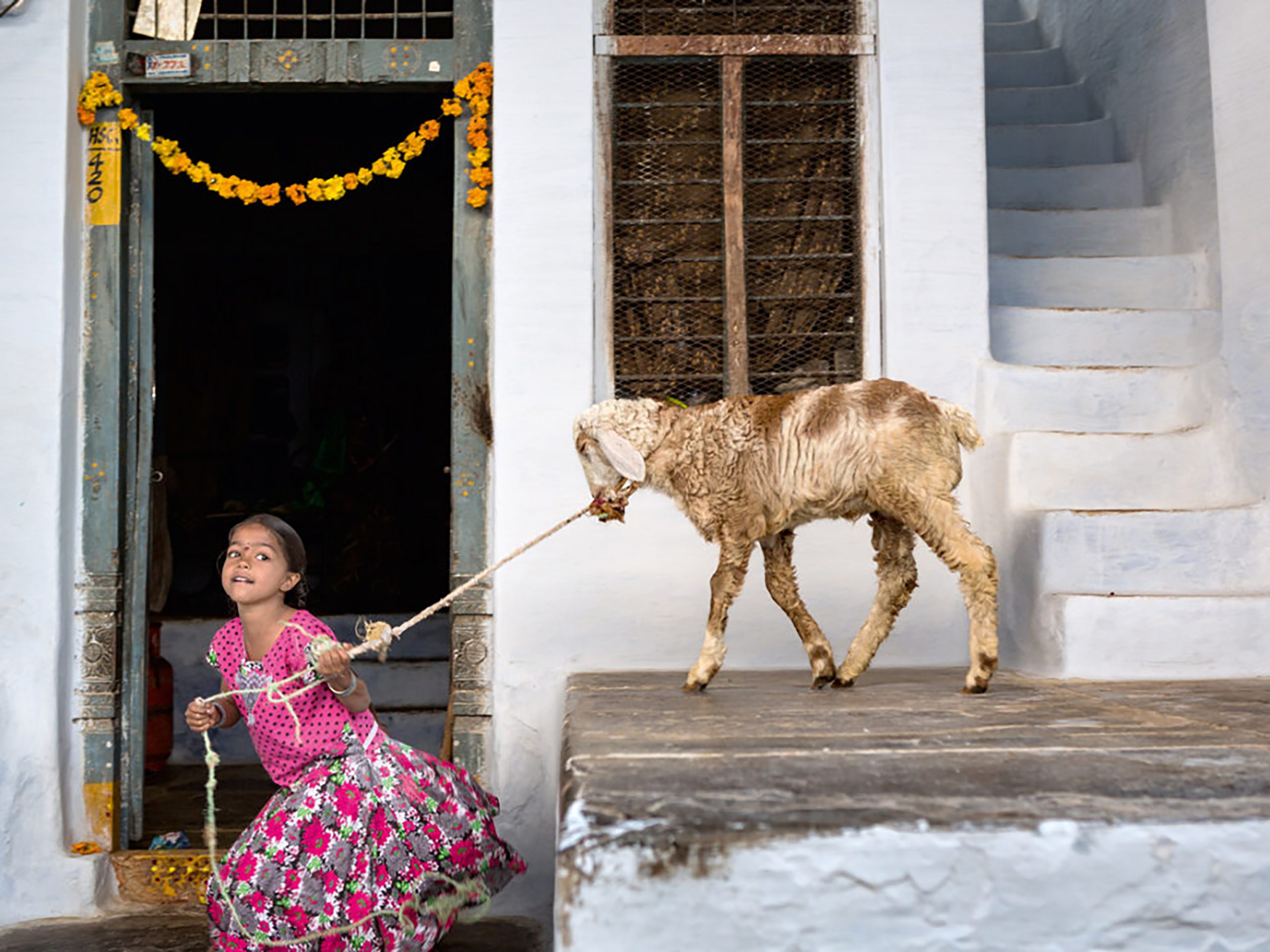 Una de las fotografías de la muestra, donde se ve a una niña que juega con un cordero en Bukaraya Samudram.