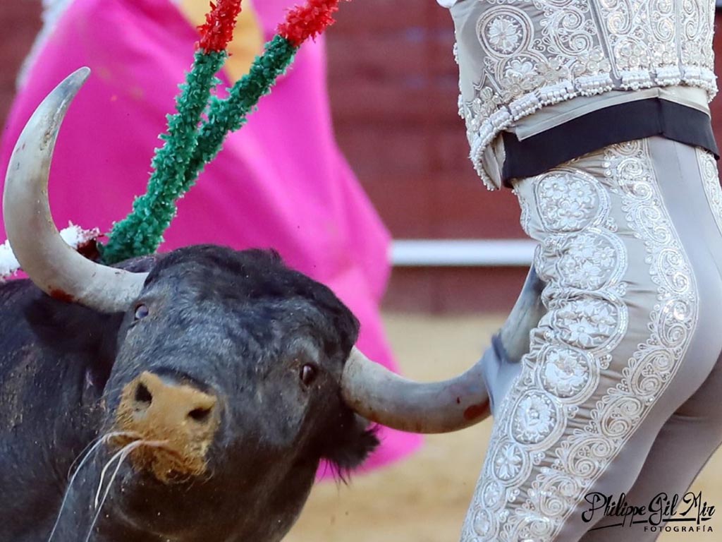 Ajustado par de Víctor Pérez a un toro de Adolfo Martín en Cenicientos. / PHILIPPE GIL MIR - FOTO CEDIDA POR VÍCTOR PÉREZ Ajustado par de Víctor Pérez a un toro de Adolfo Martín en Cenicientos. / PHILIPPE GIL MIR - FOTO CEDIDA POR VÍCTOR PÉREZ