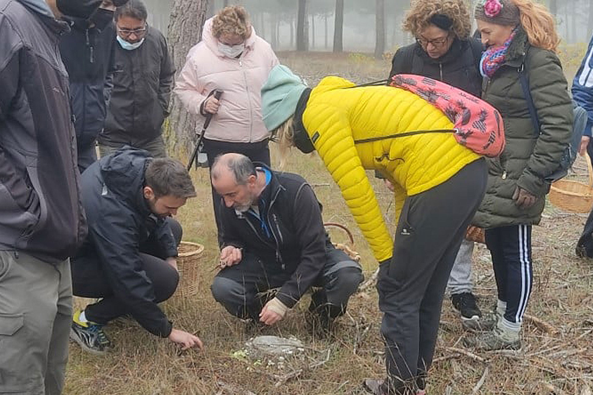 fuenterrebollo jornadas micologicas 4
