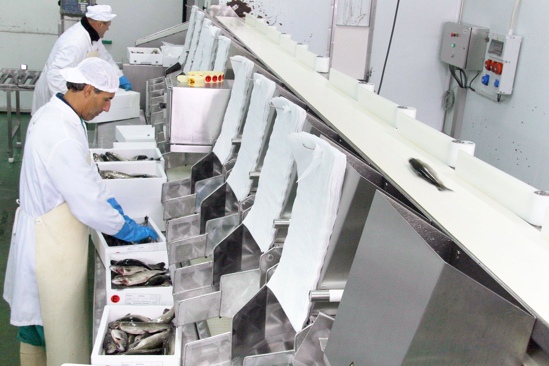 fuentiduena jornadas piscicultura piscifactoria FD 44