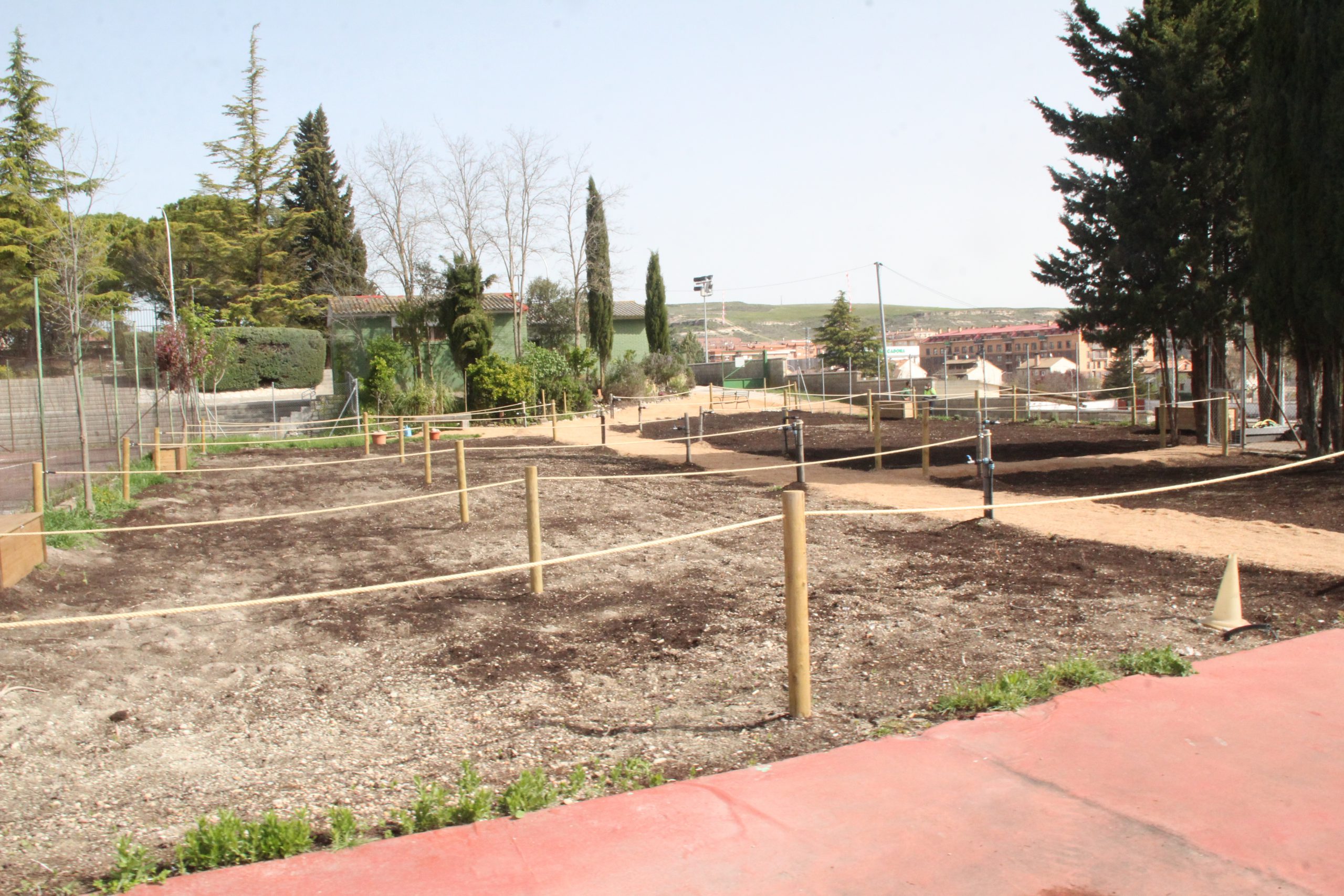 Parcelas de huertos urbanos realizadas en la localidad.