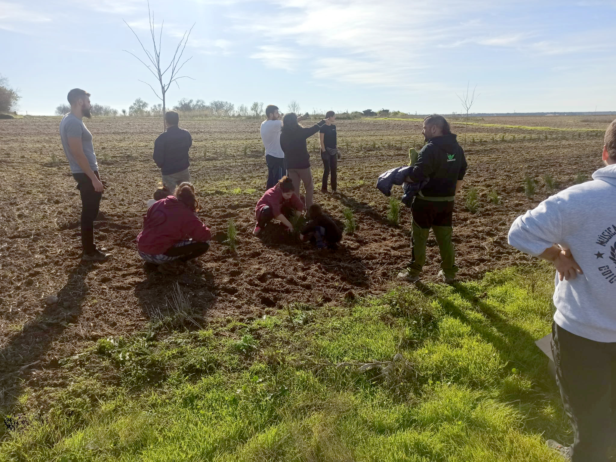 Instantes de la plantación de árboles en Vallelado.