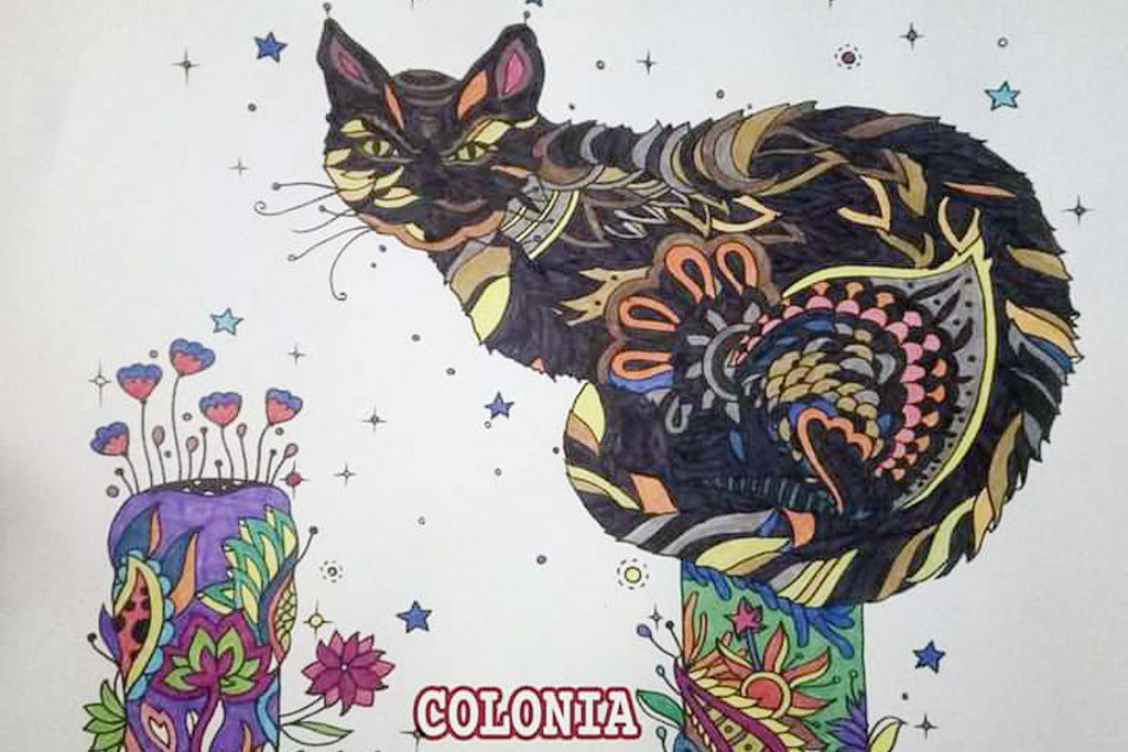 zamarramala colonia gatos las supremas 2