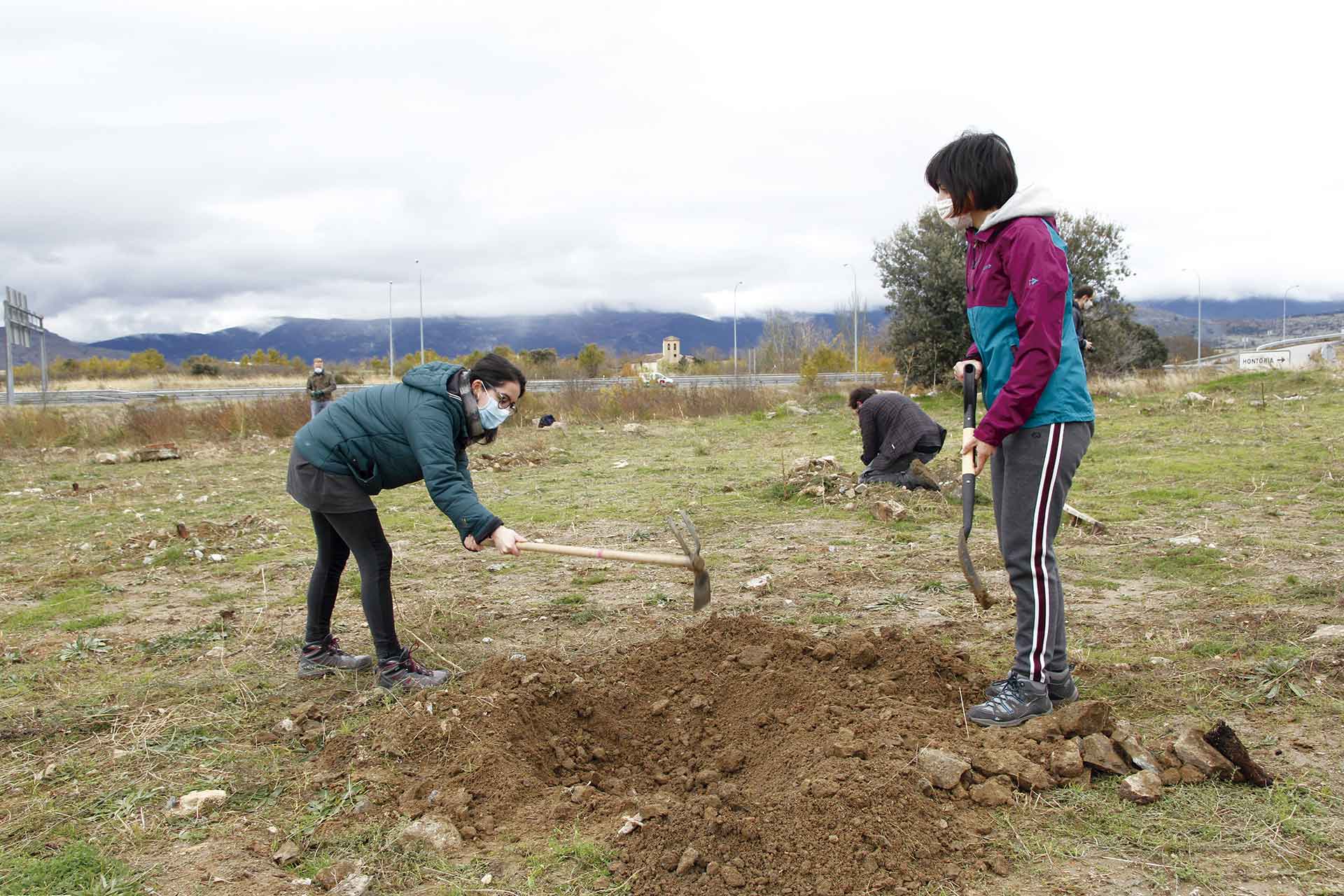Plantación de árboles en una finca municipal situada frente al paraje de Juarrillos, en Hontoria. / Nerea Llorente