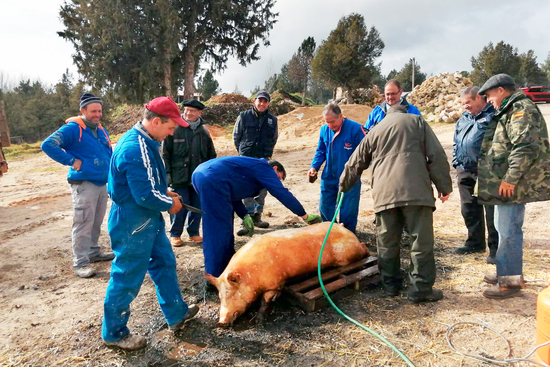 Imagen de archivo de una de las matanzas que se han llevado a cabo en la provincia de Segovia.