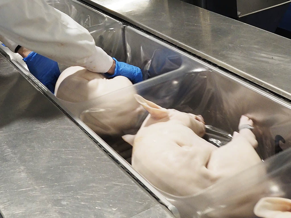 Industria cárnica. / EL ADELANTADO