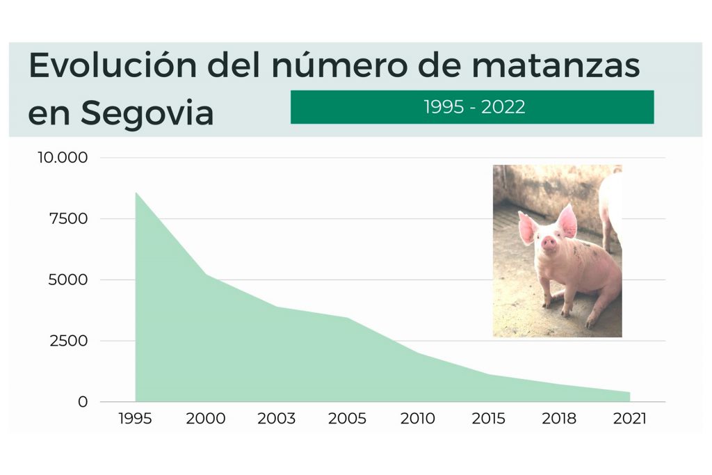 Evolucion del numero de matanzas en Segovia