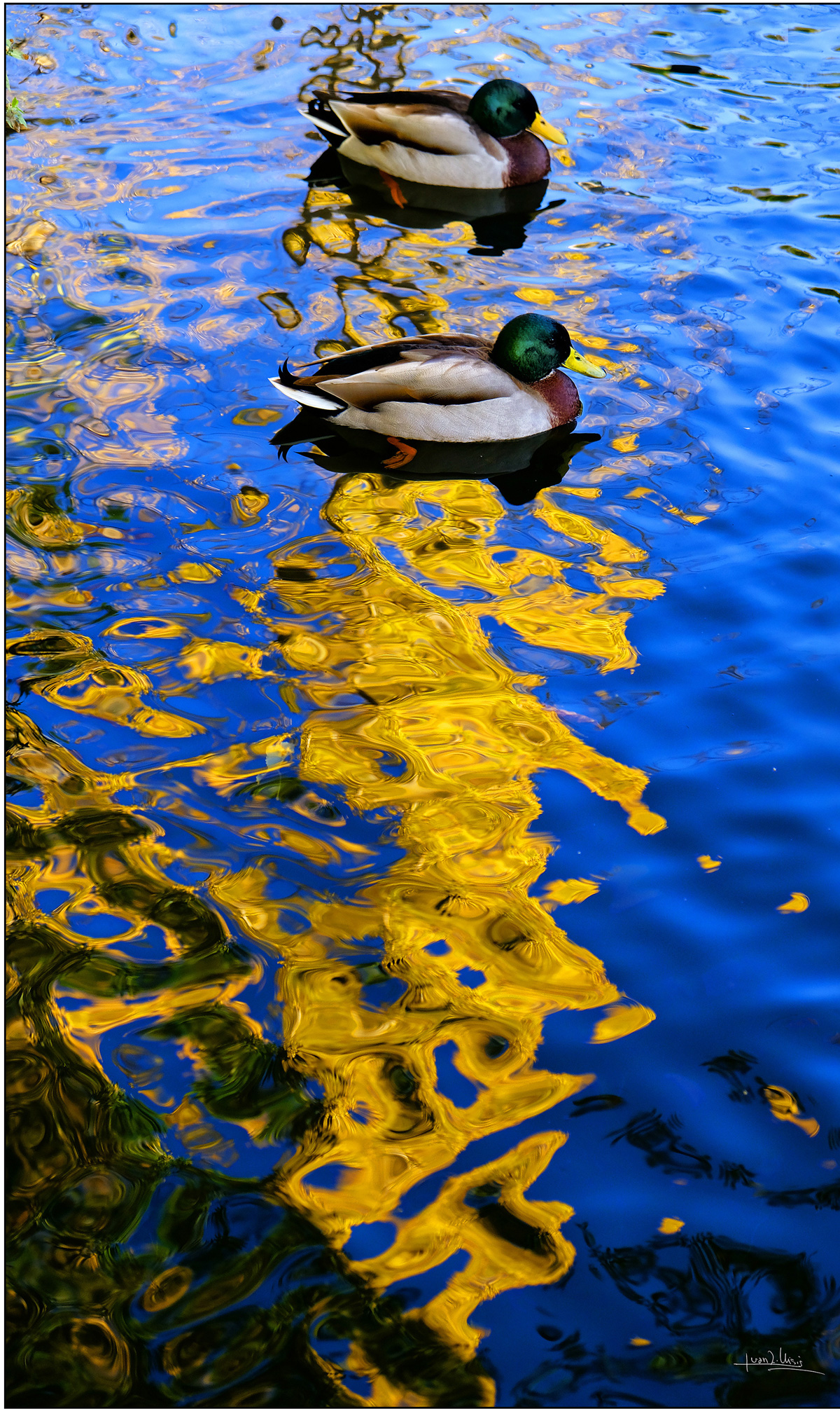 Cartel de la exposición fotográfica.