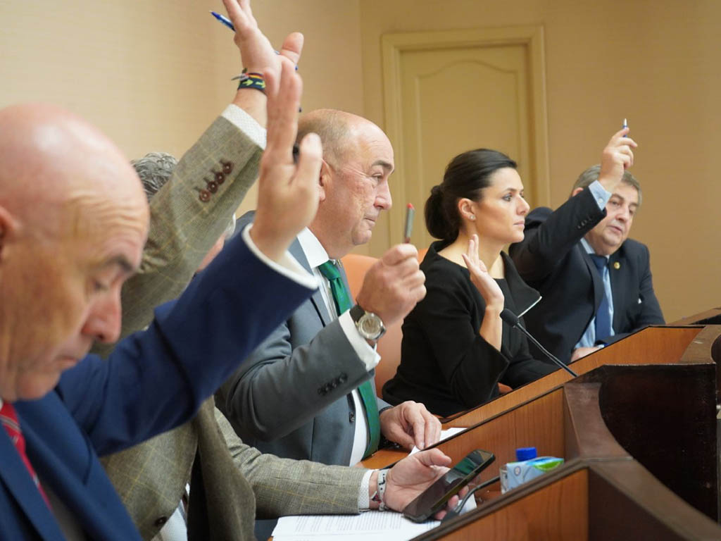 Votación del Pleno de la Diputación, del mes de diciembre. / EL ADELANTADO