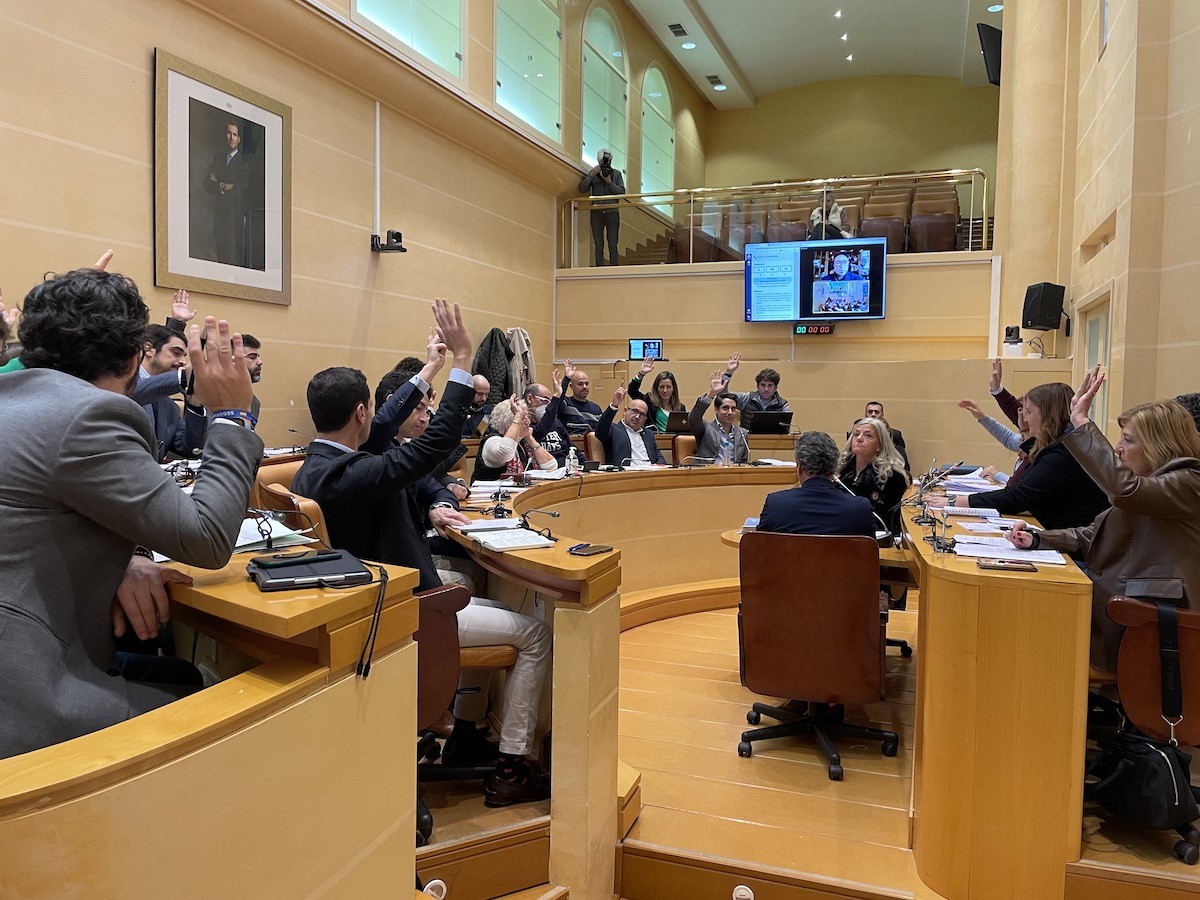 Una de las votaciones del Pleno de este viernes. / EL ADELANTADO