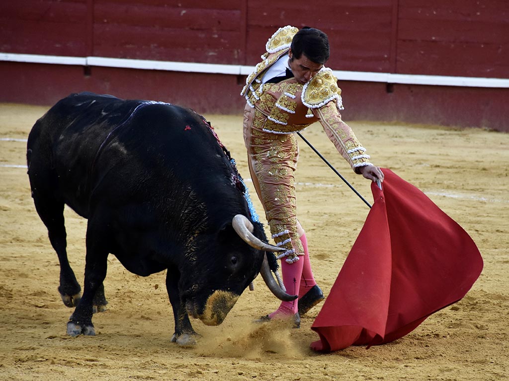 Natural del diestro cuellarano Javier Herrero. / A.M.