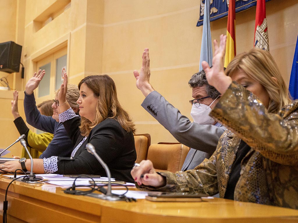 Votación del Pleno. / NEREA LLORENTE
