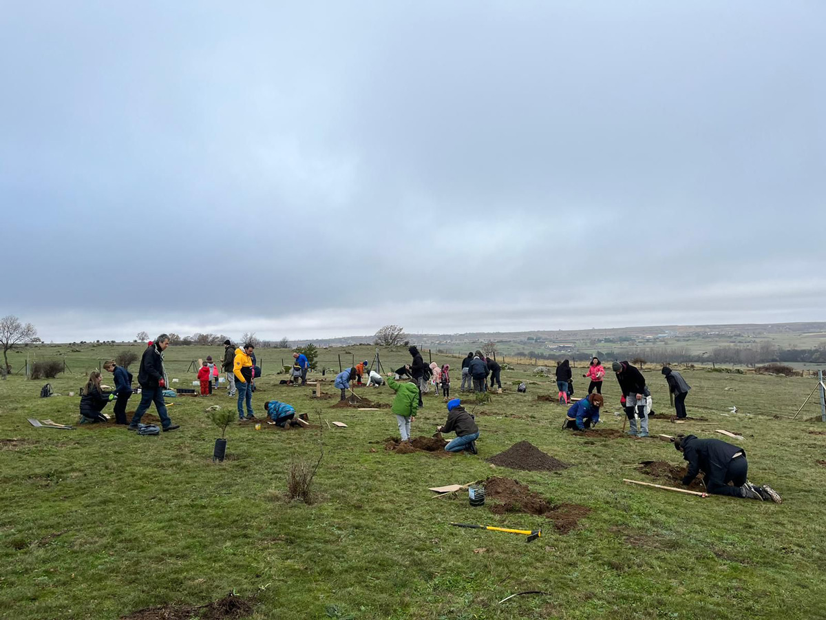 Plantación de árboles en San Cristóbal de Segovia.