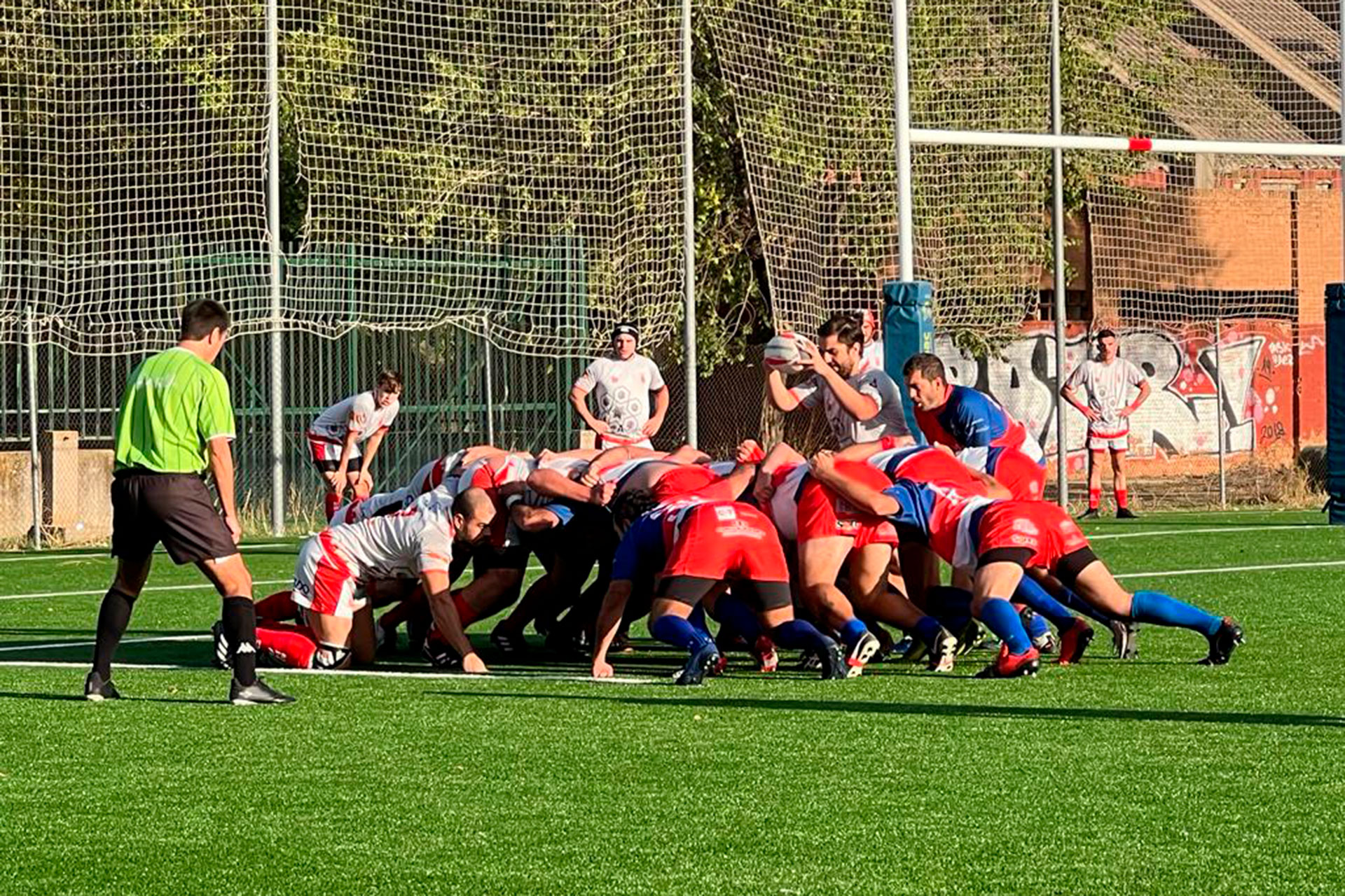 rugby lobos