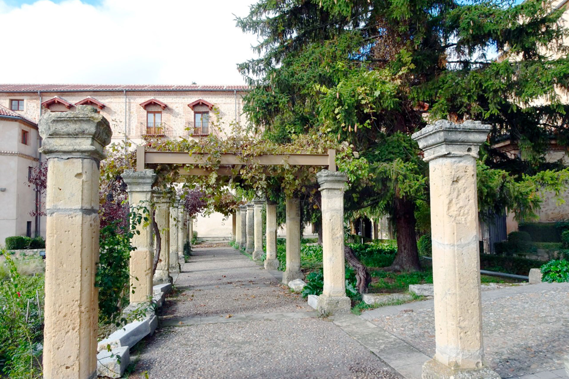 Viejas parras apoyadas en los pilares del paseo que conduce a la huerta.