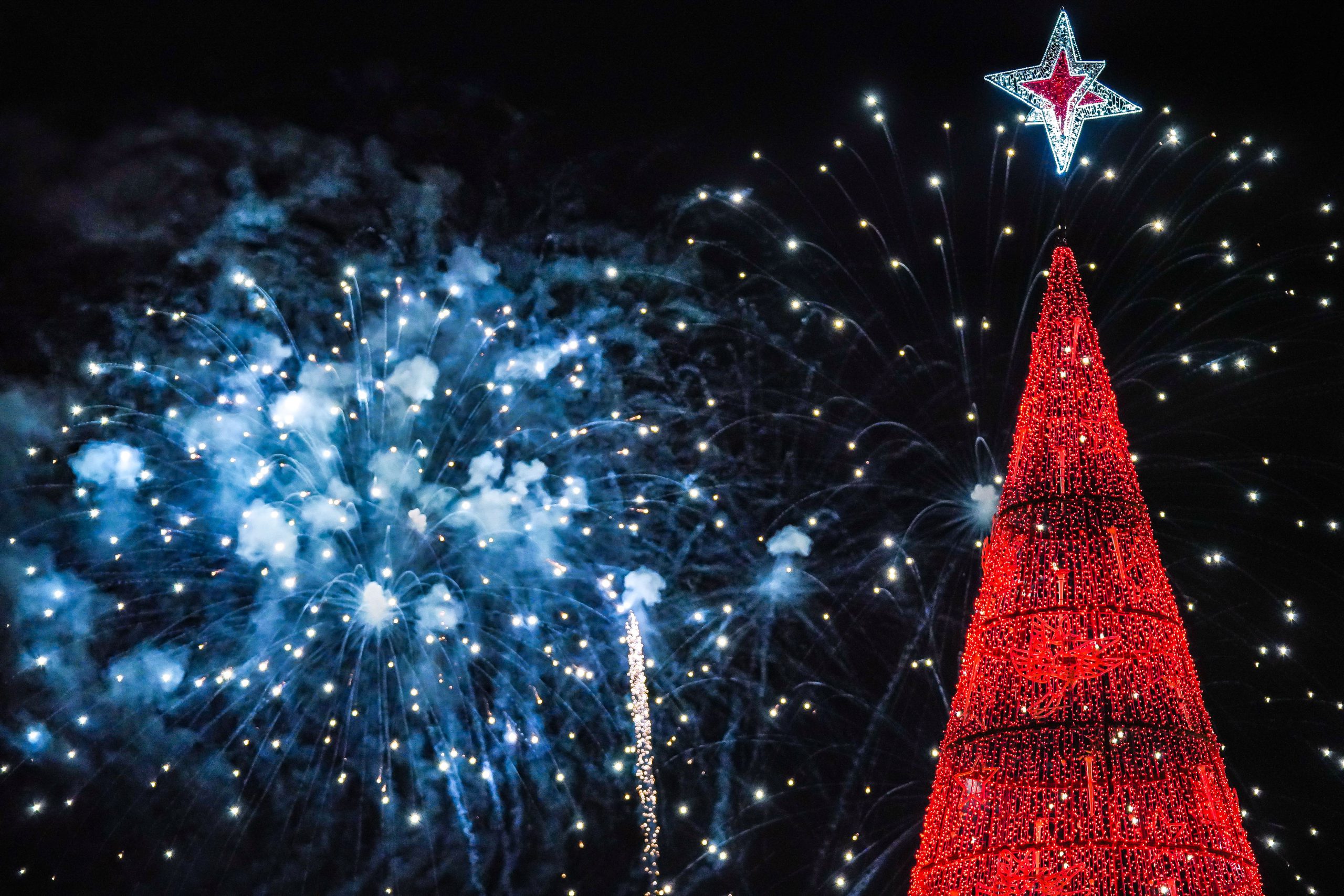 05012023 A7R05148 scaled