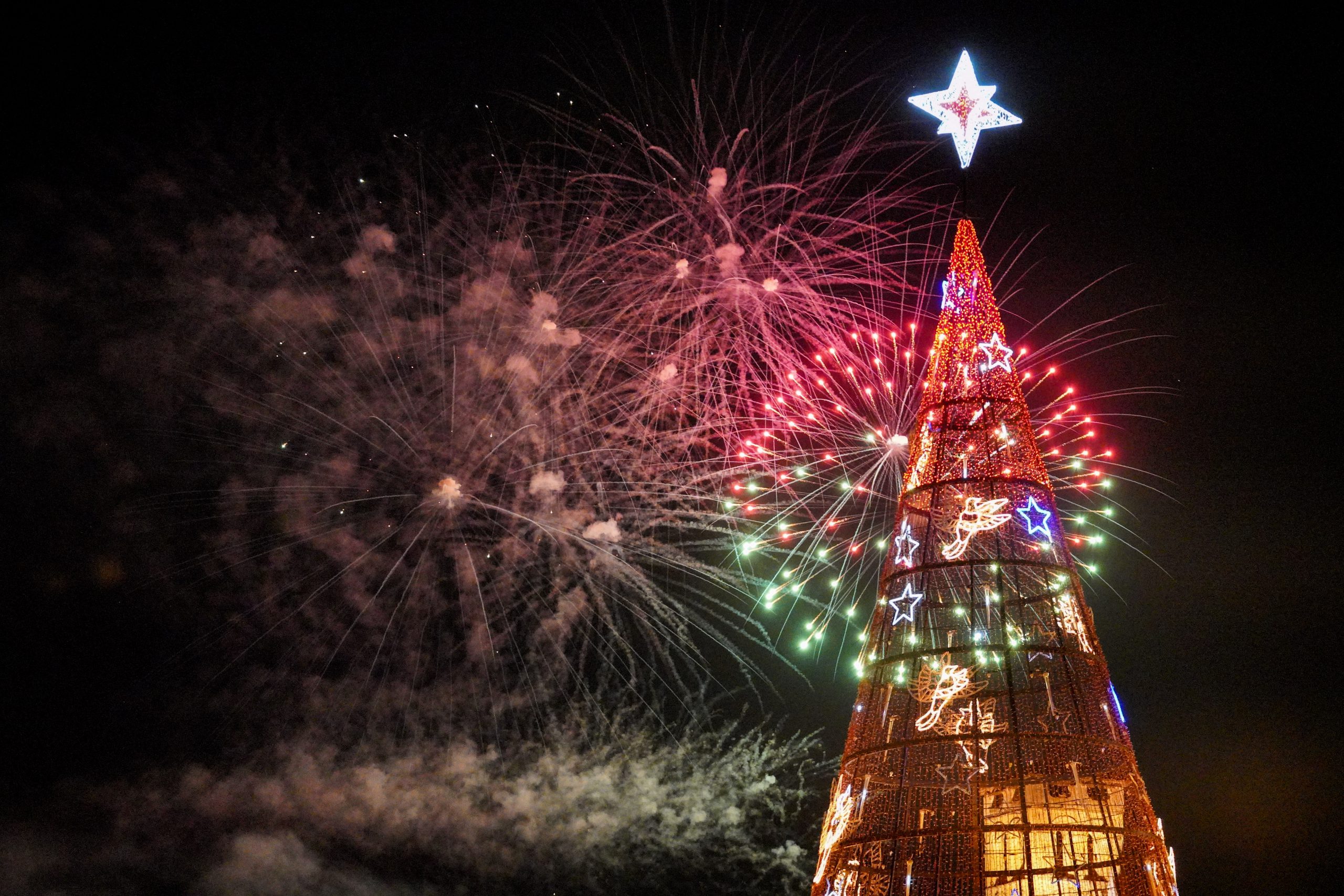 05012023 A7R05163 scaled