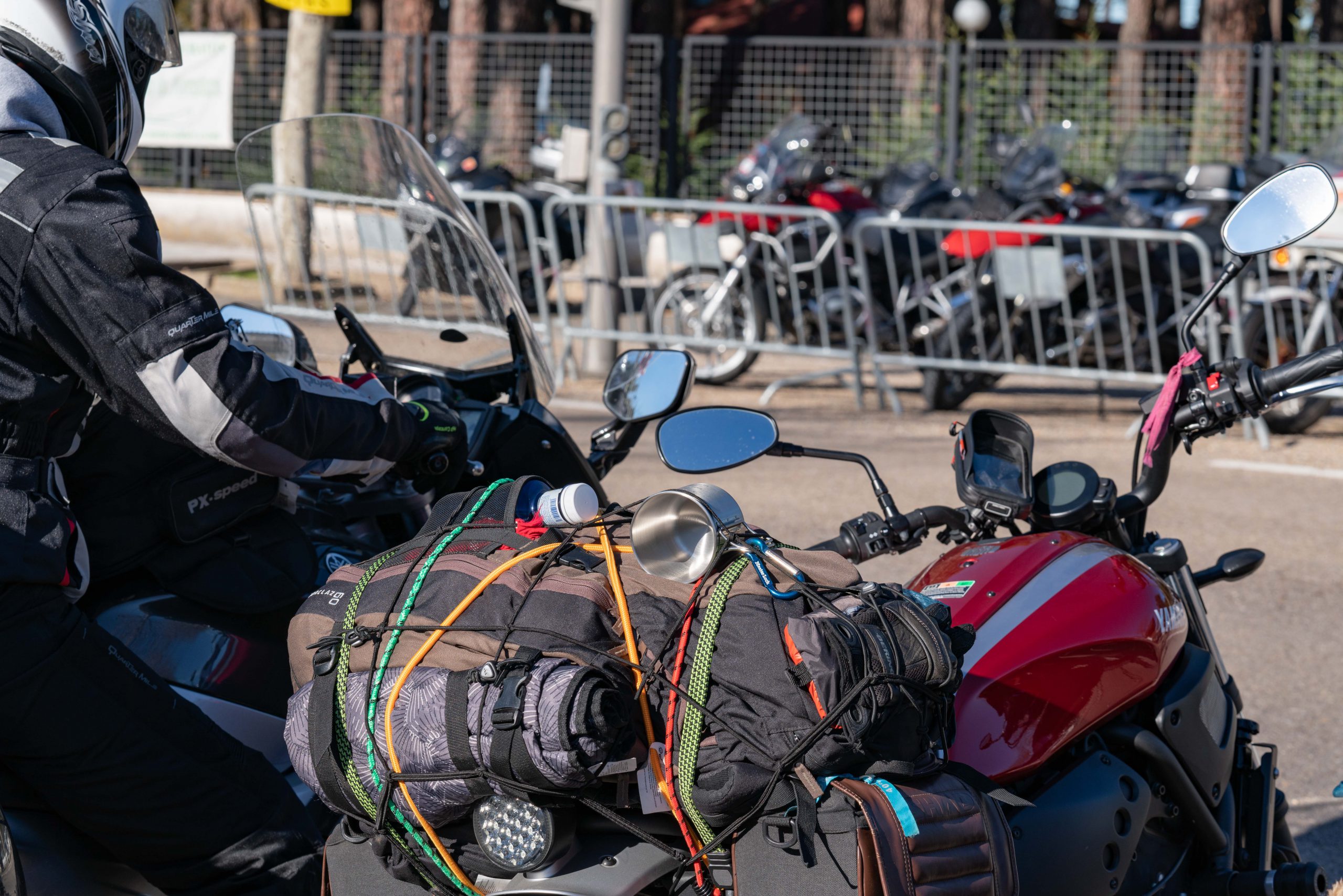 13012023 A7R6475 scaled