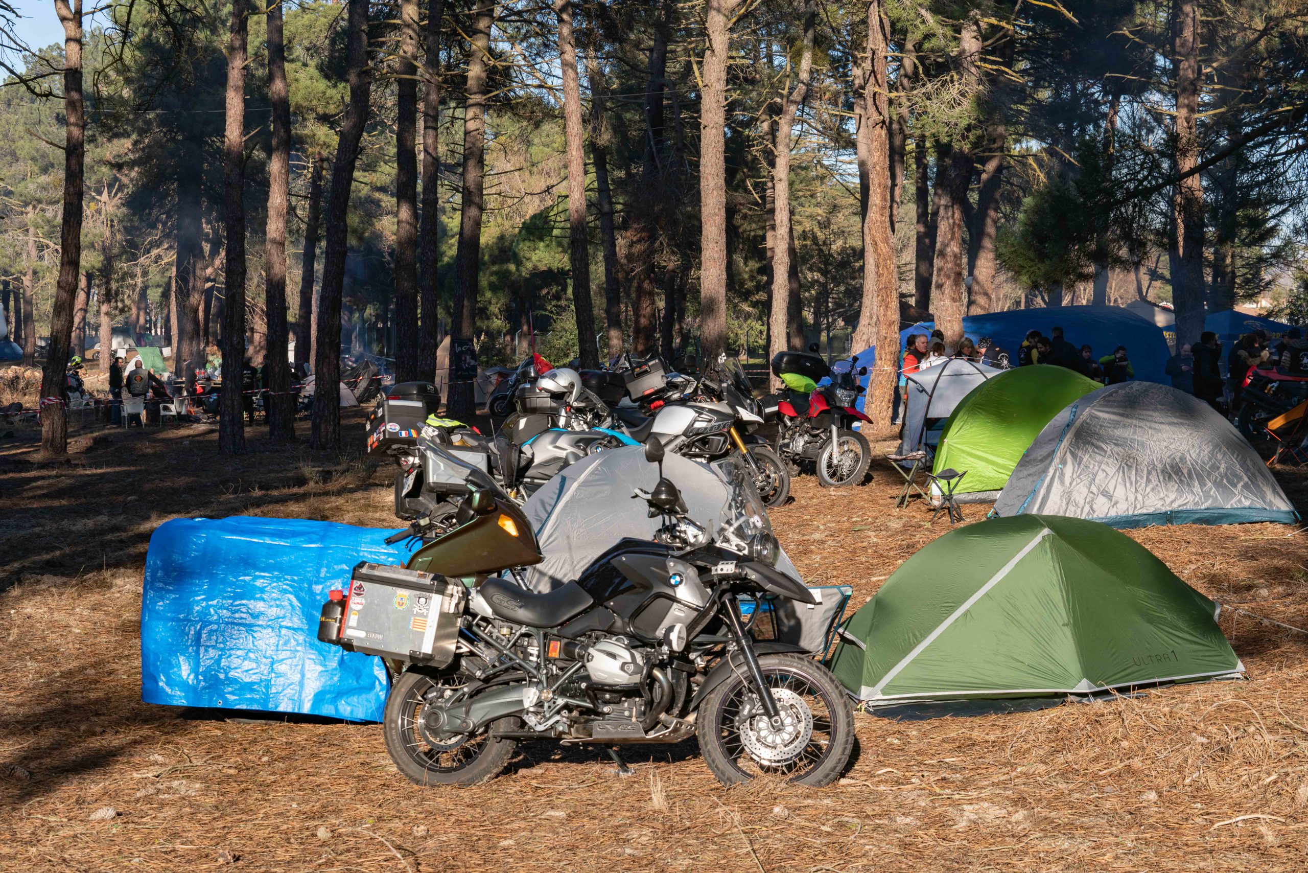 13012023 A7R6499 scaled