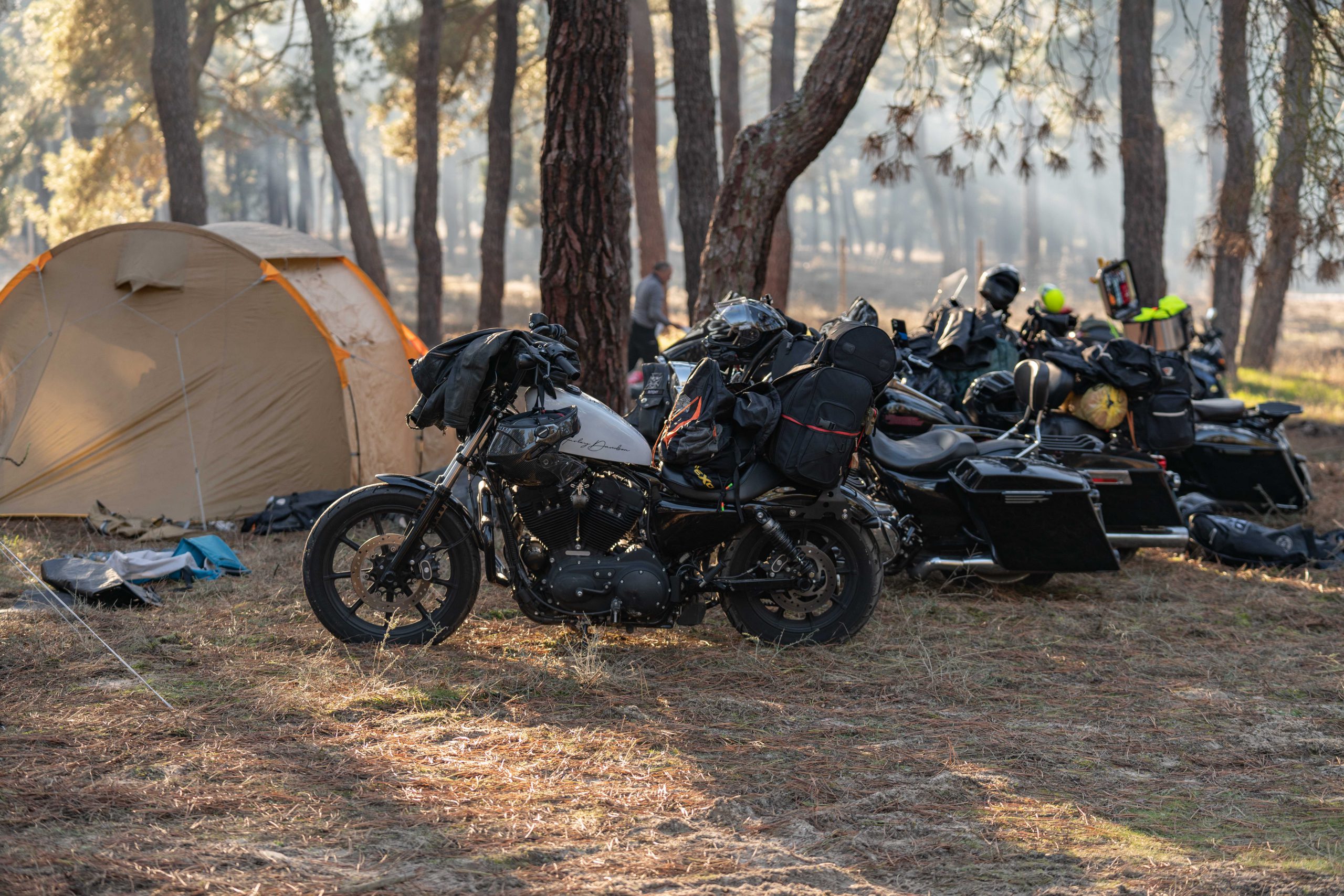 13012023 A7R6500 scaled