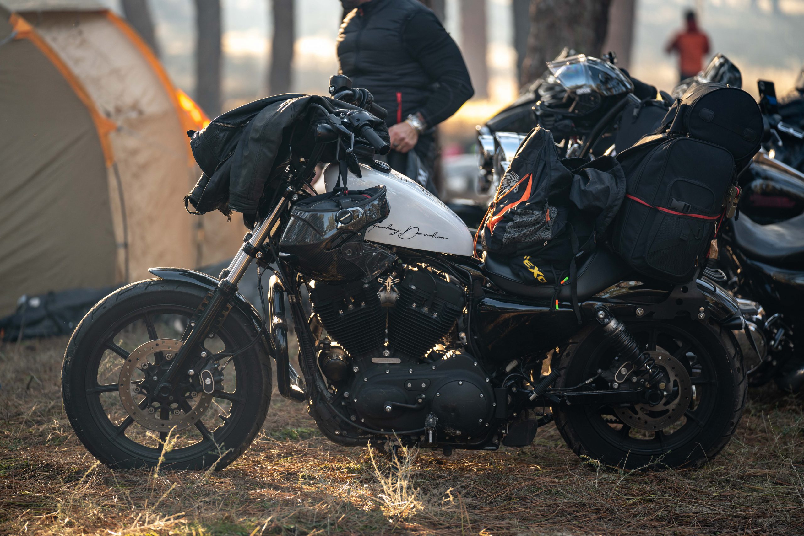 13012023 A7R6501 scaled