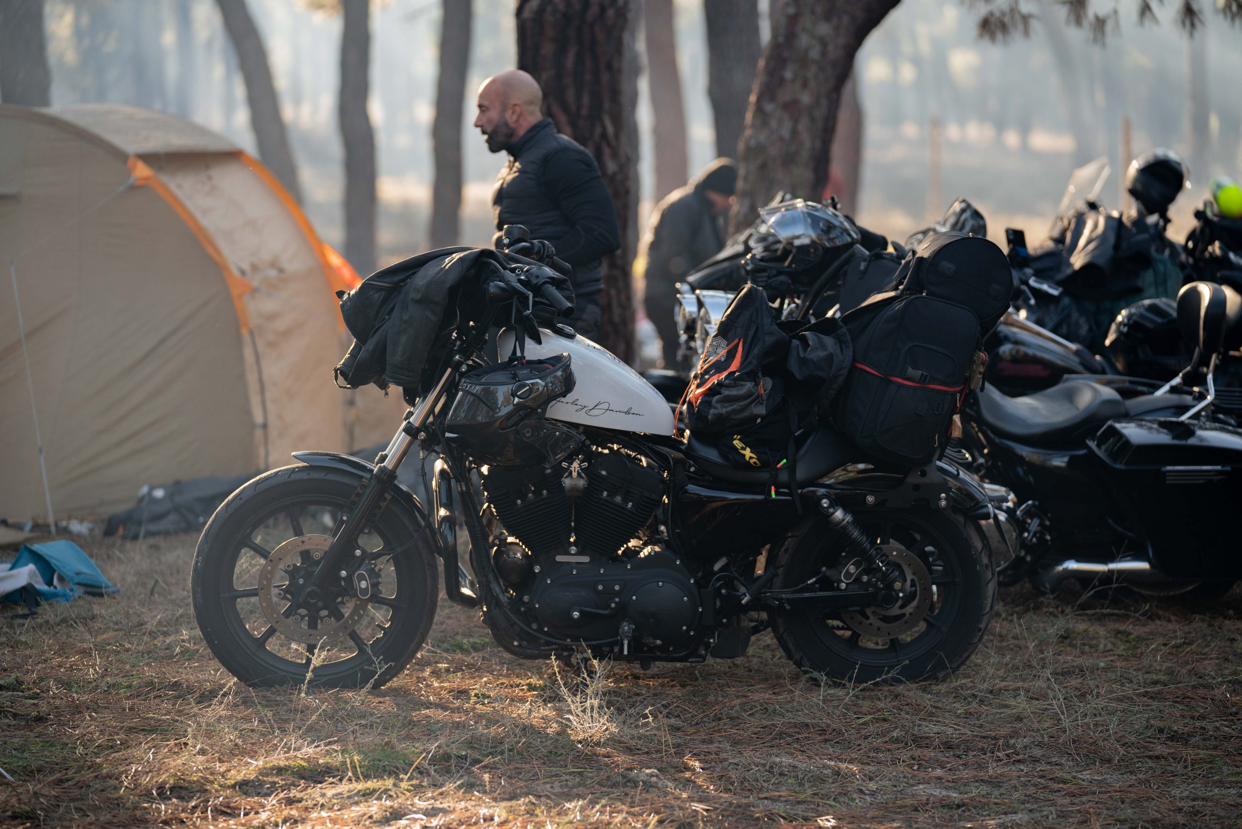 13012023 A7R6503 scaled