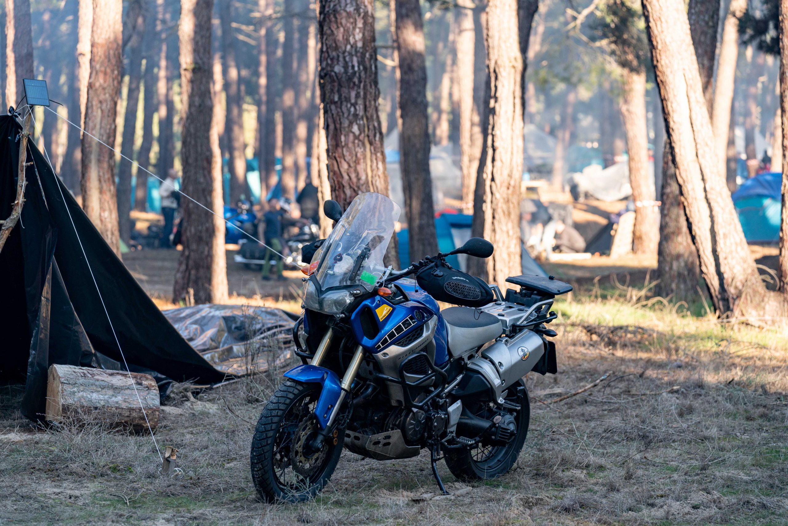 13012023 A7R6505 scaled