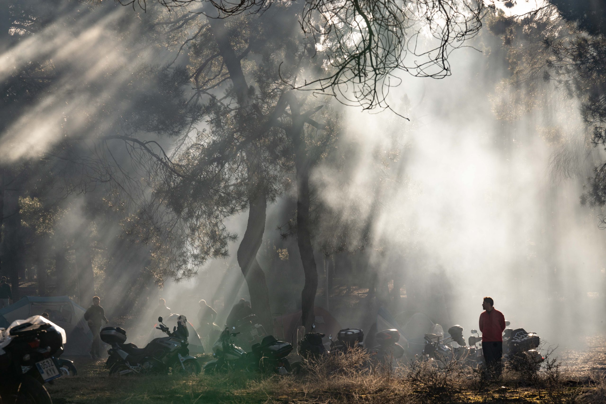 13012023 A7R6526 scaled