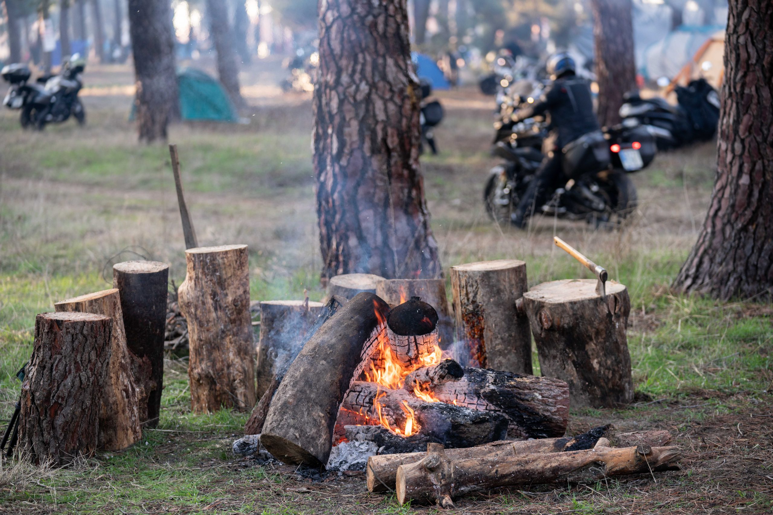 13012023 A7R6563 scaled