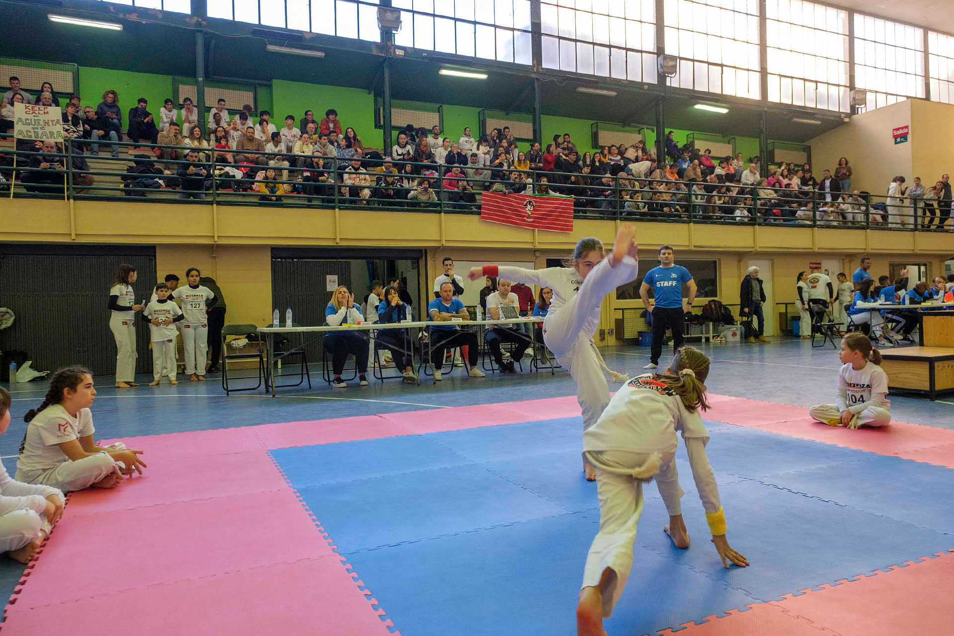 Campeonato de España de capoeira