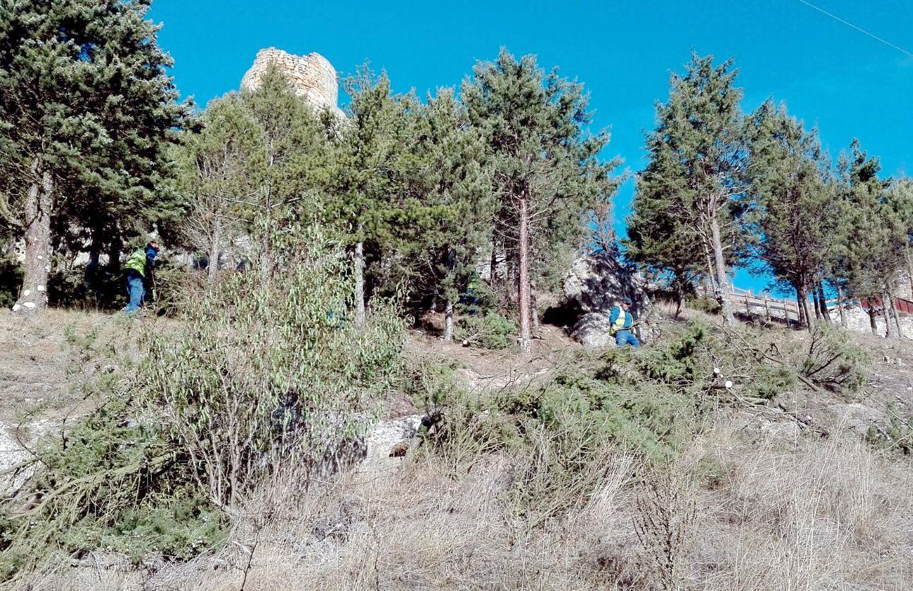 En la reunión se abordaron temas como la gestión de los montes para la lucha contra los incendios.
