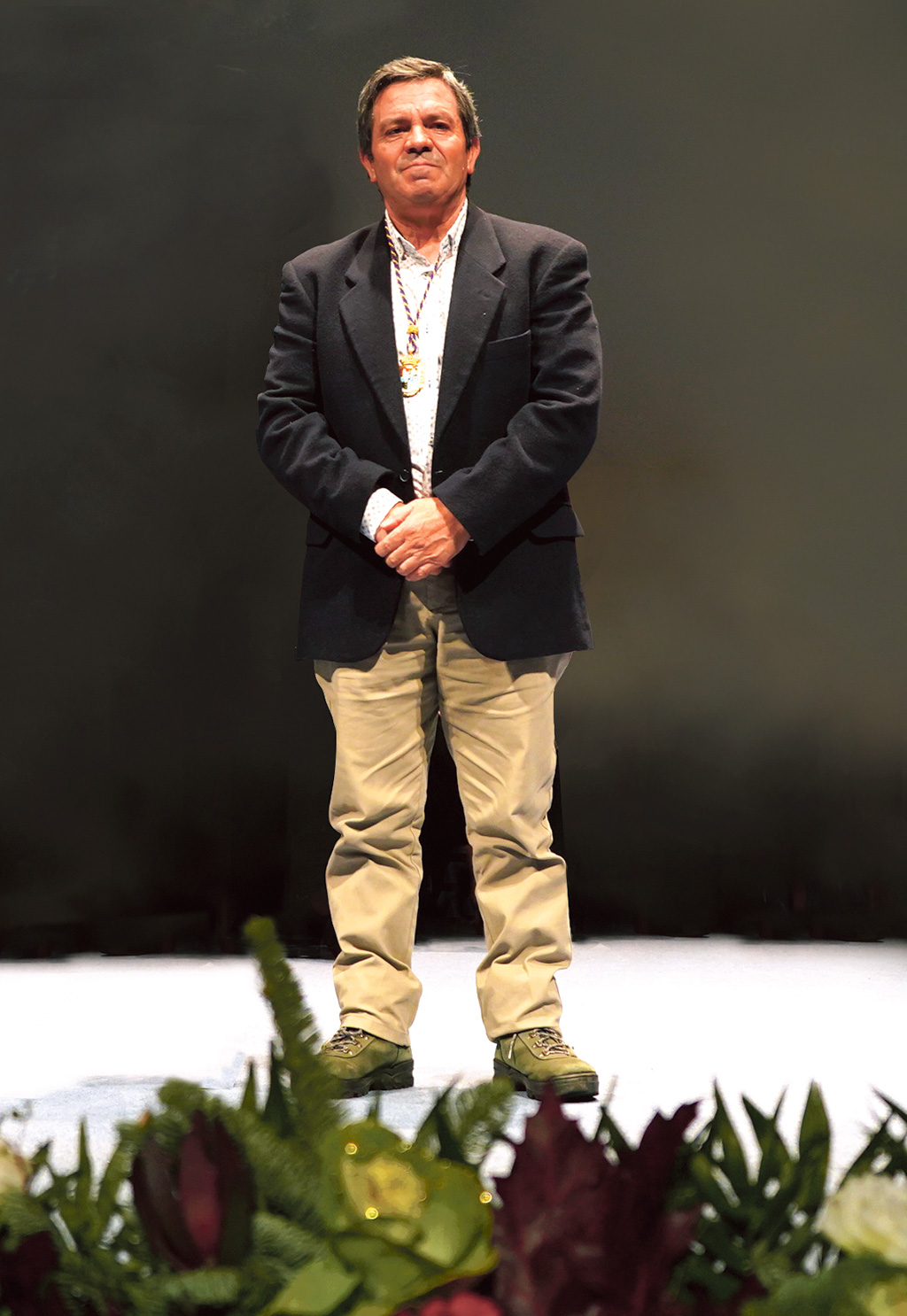 Entrega de medallas de Oro de la Diputacion a alcaldes