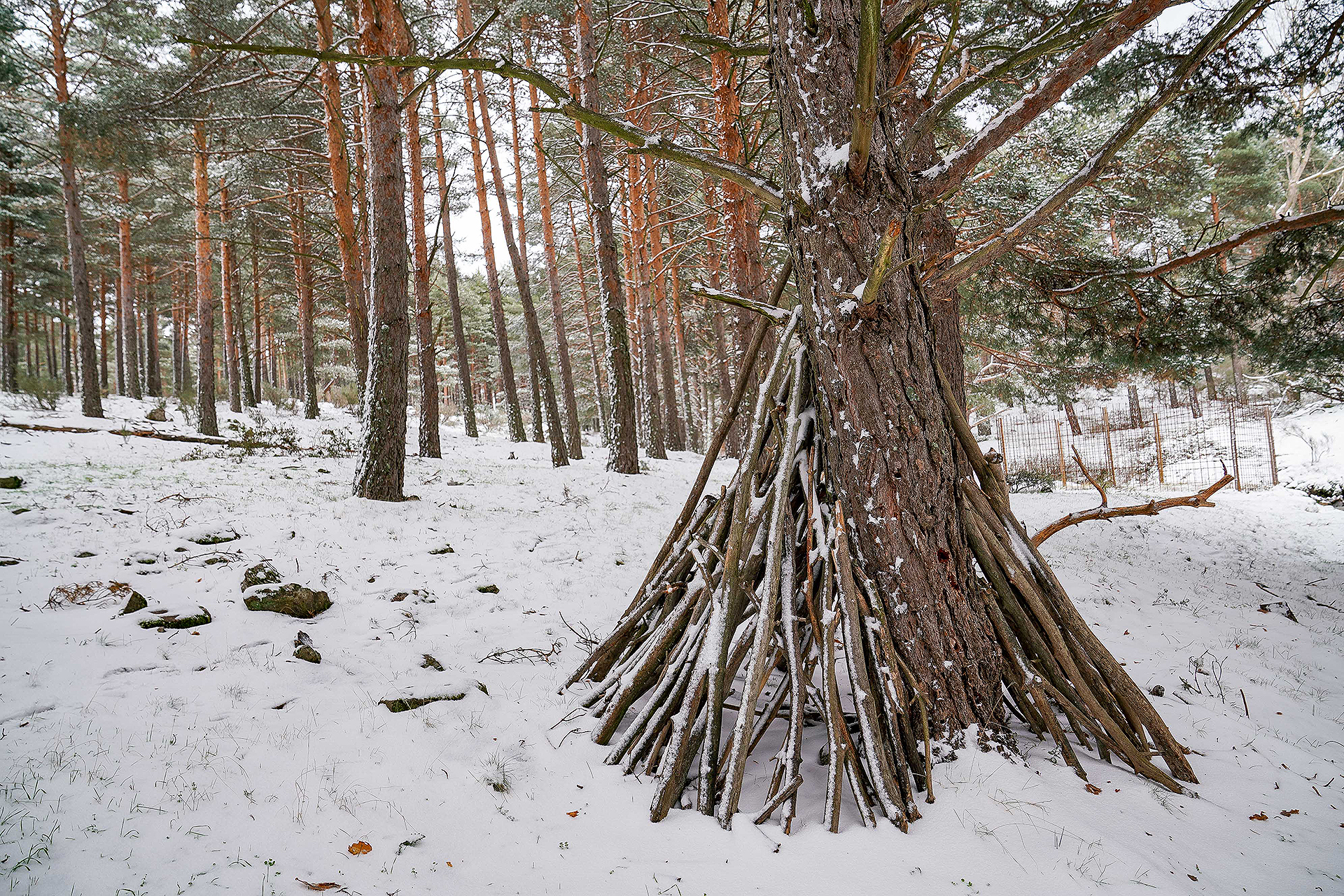 / Miguel Ángel Fernández